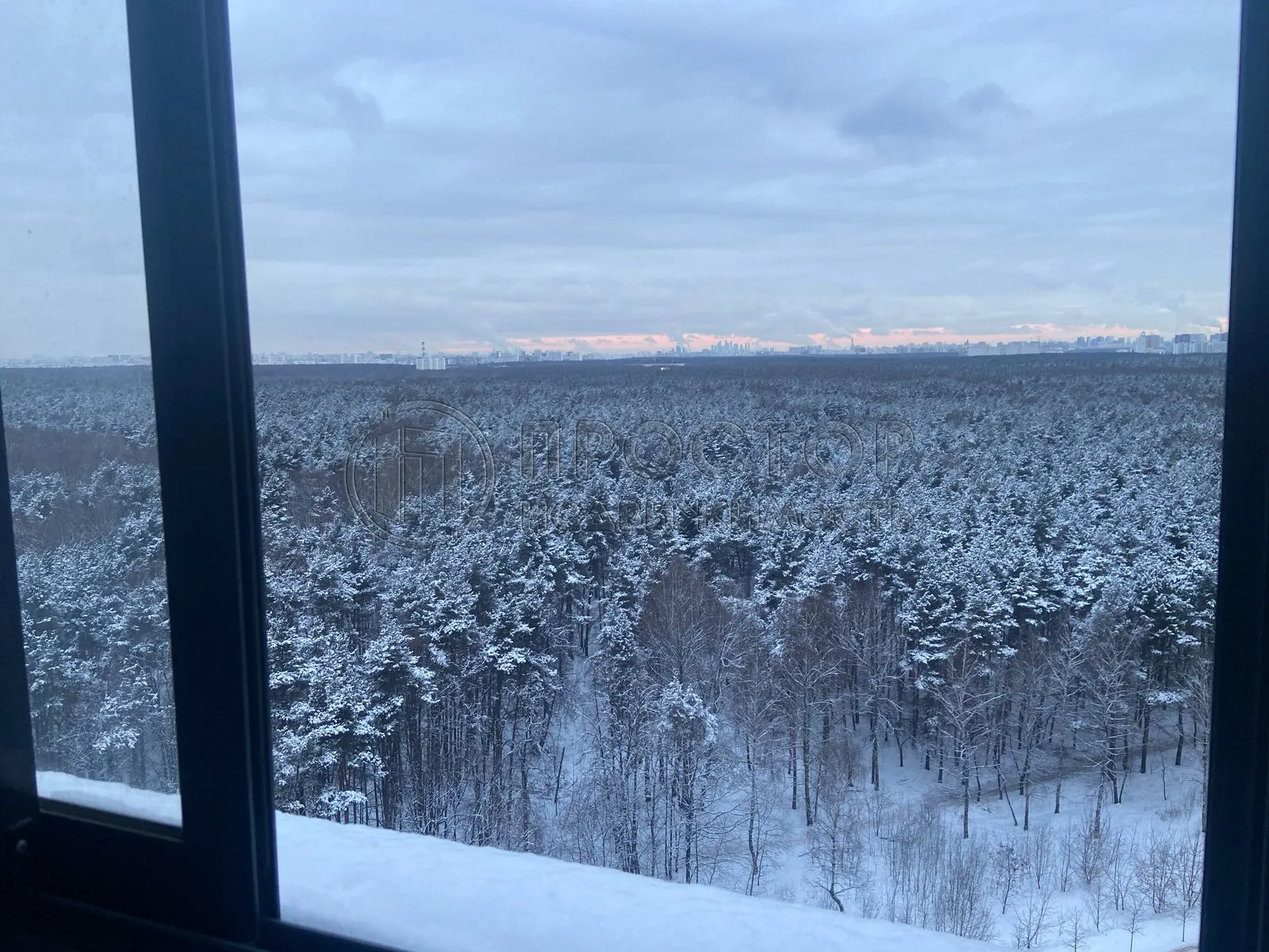 2-комнатная квартира, 53.4 м² - фото 3