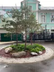 Студия, 13.25 м² - фото 9