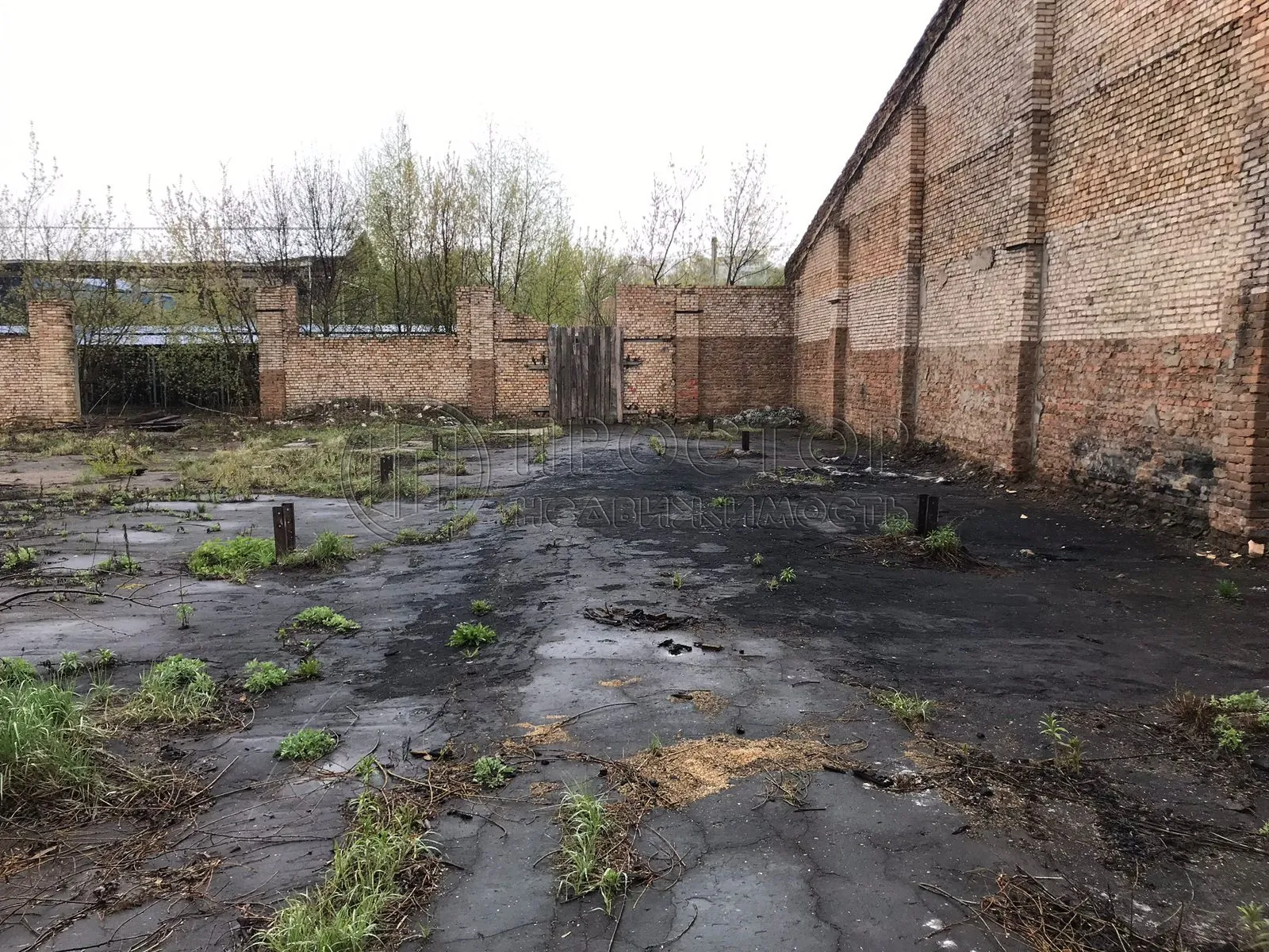 Коммерческая недвижимость (свободного назначения), 2292 м² - фото 2