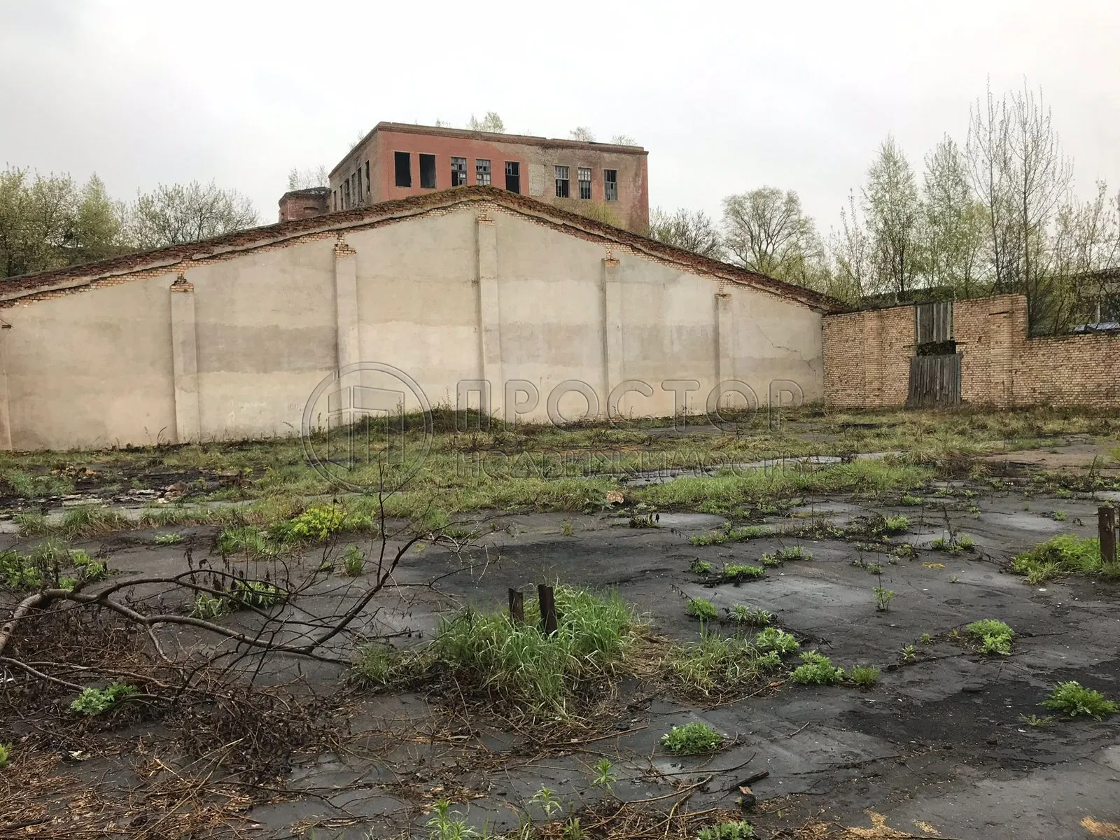 Коммерческая недвижимость (свободного назначения), 2292 м² - фото 4