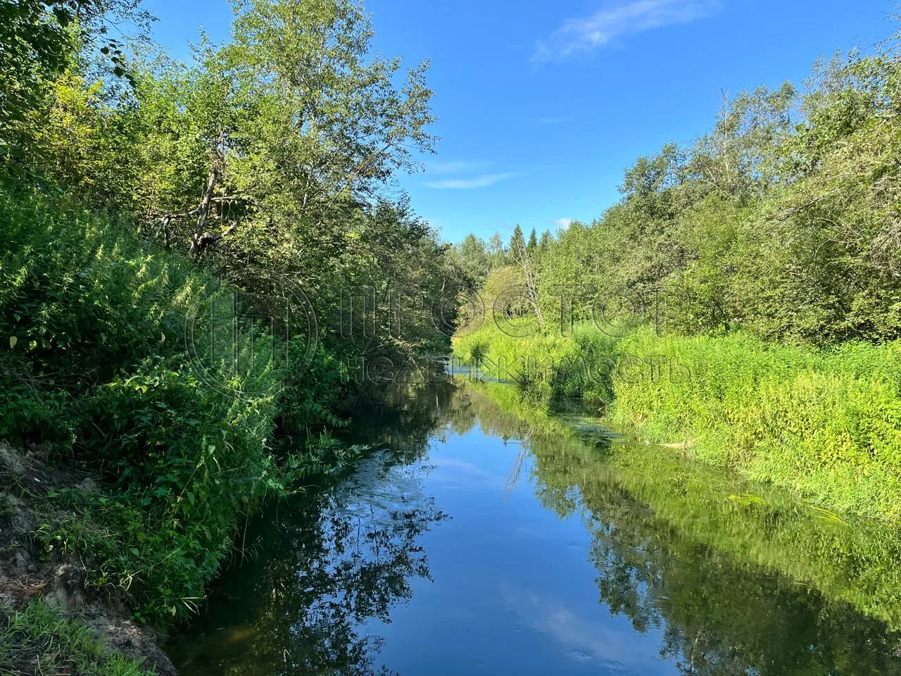 Участок, 100 сот. - фото 3