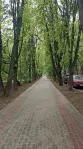 2-комнатная квартира, 41.7 м² - фото 19