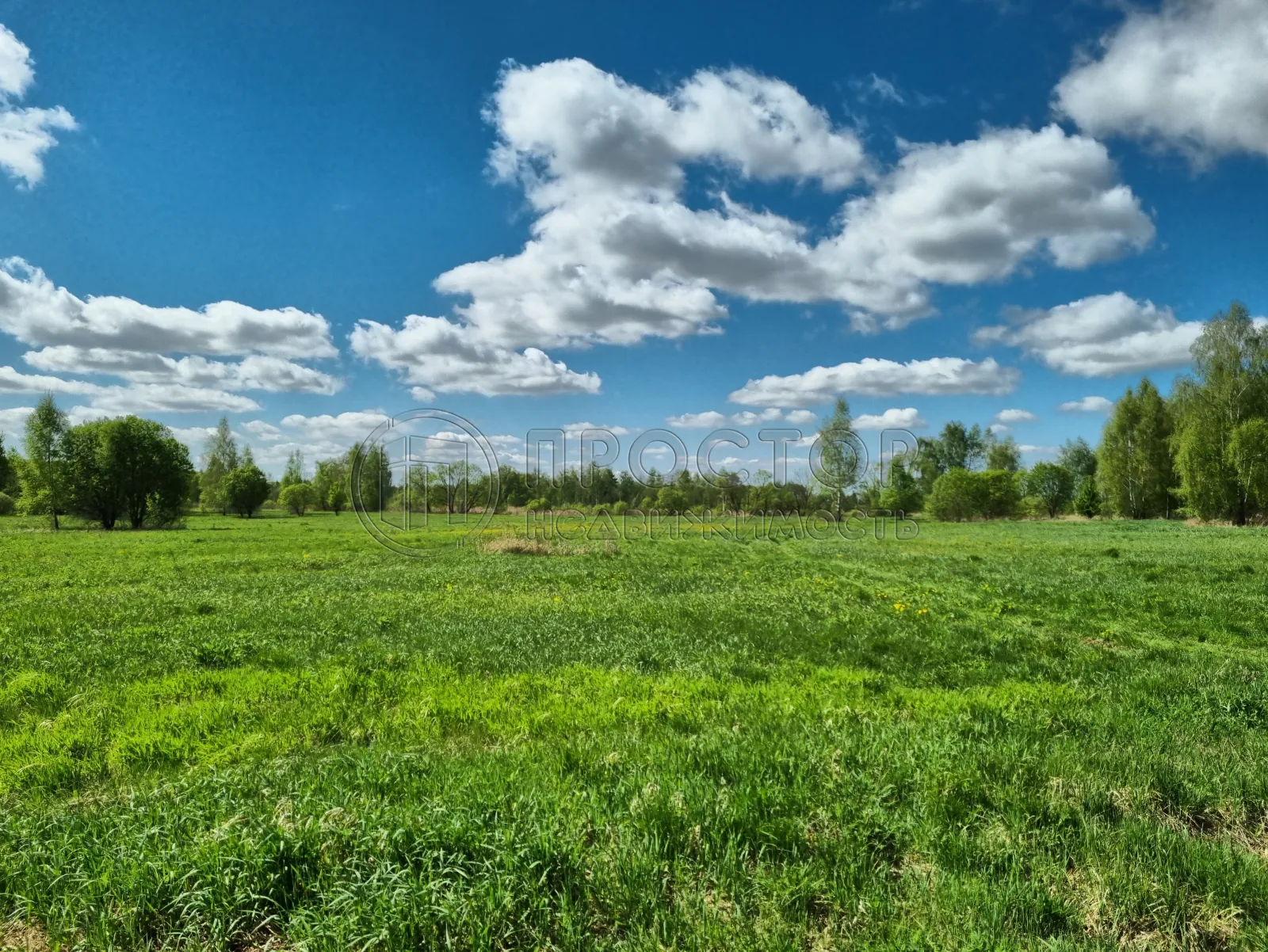 Коммерческая недвижимость (земельный участок),  м² - фото 2