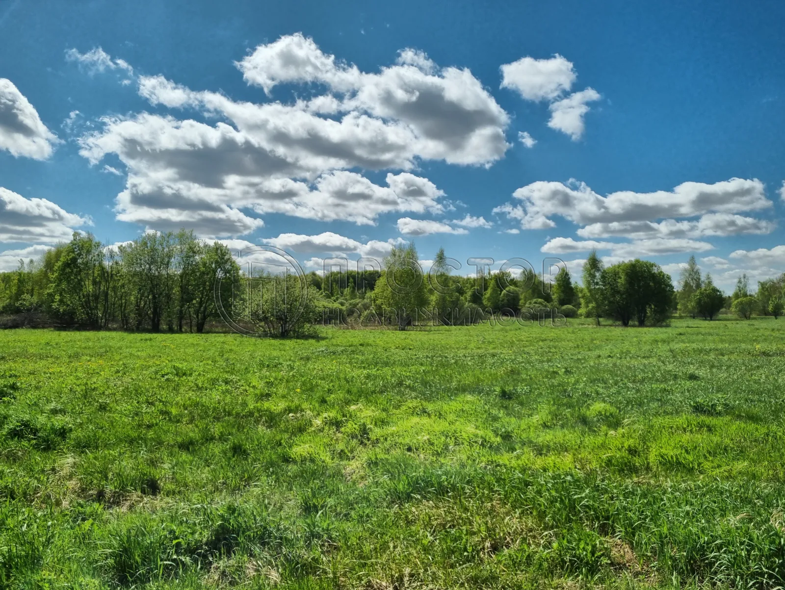 Коммерческая недвижимость (земельный участок),  м² - фото 4