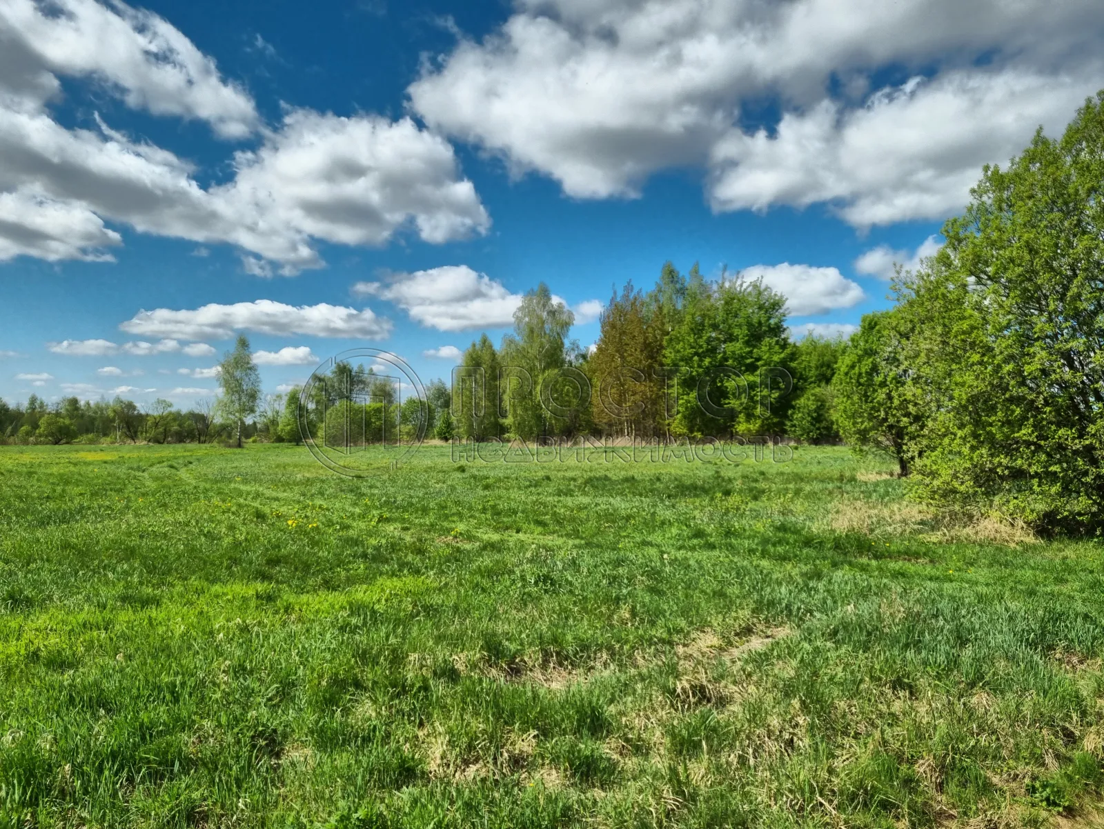 Коммерческая недвижимость (земельный участок),  м² - фото 5