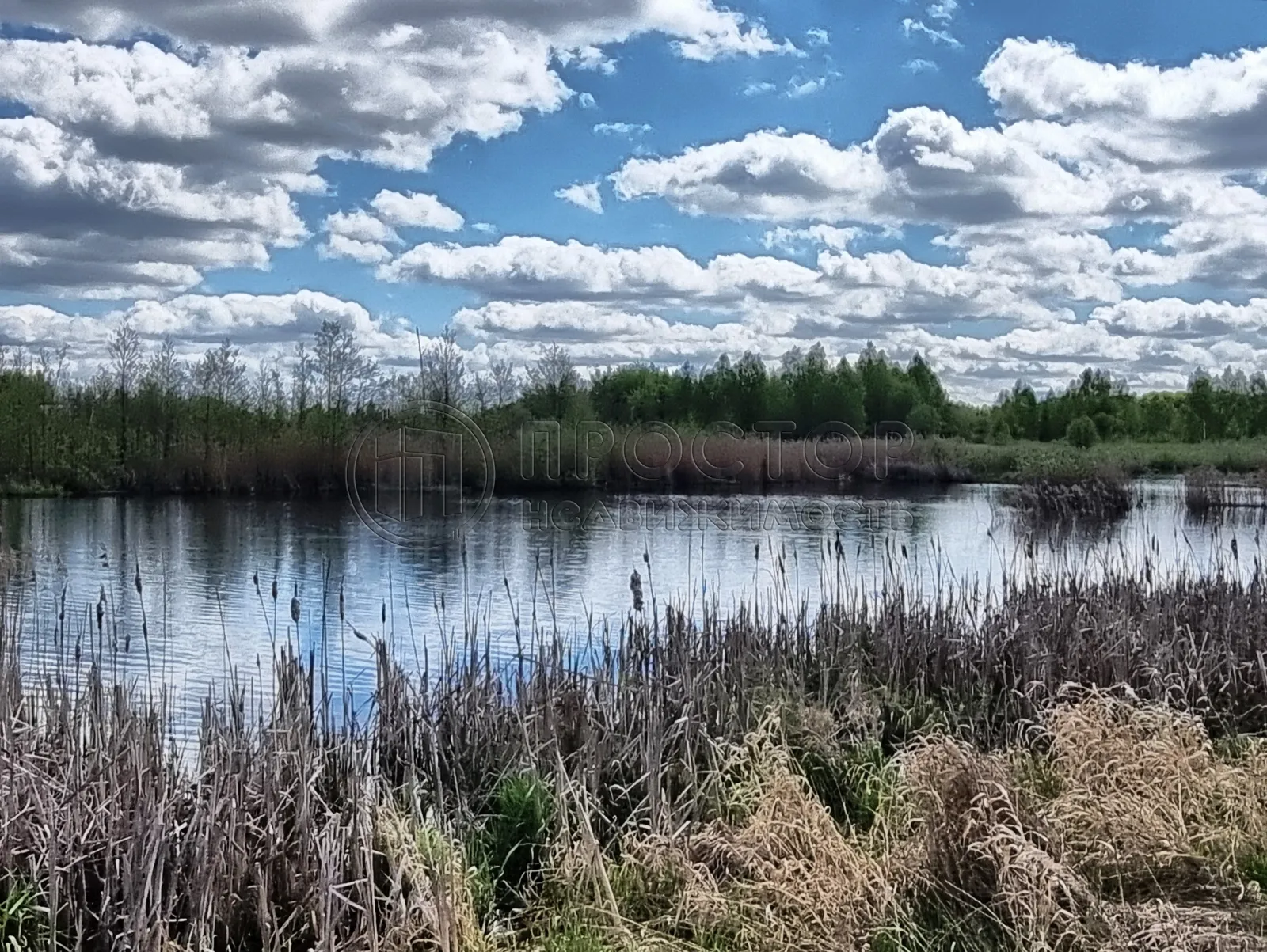 Коммерческая недвижимость (земельный участок),  м² - фото 9