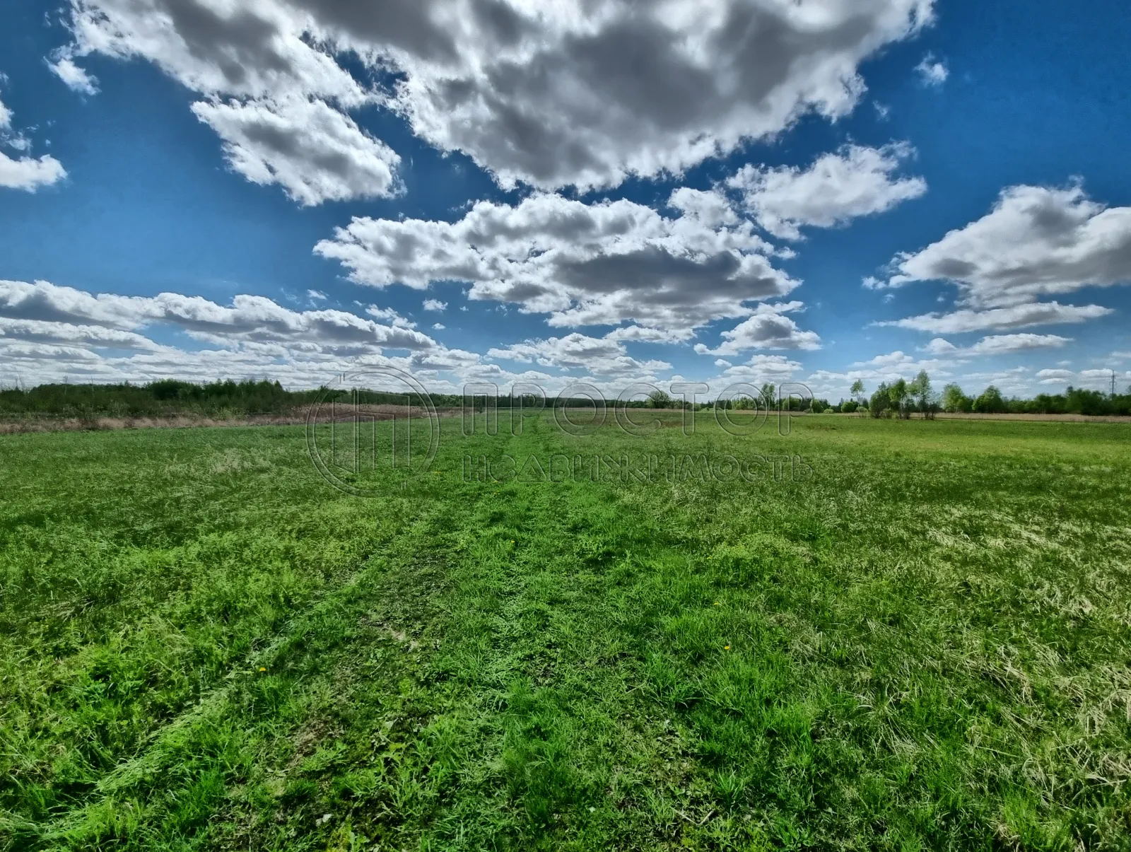 Коммерческая недвижимость (земельный участок),  м² - фото 10