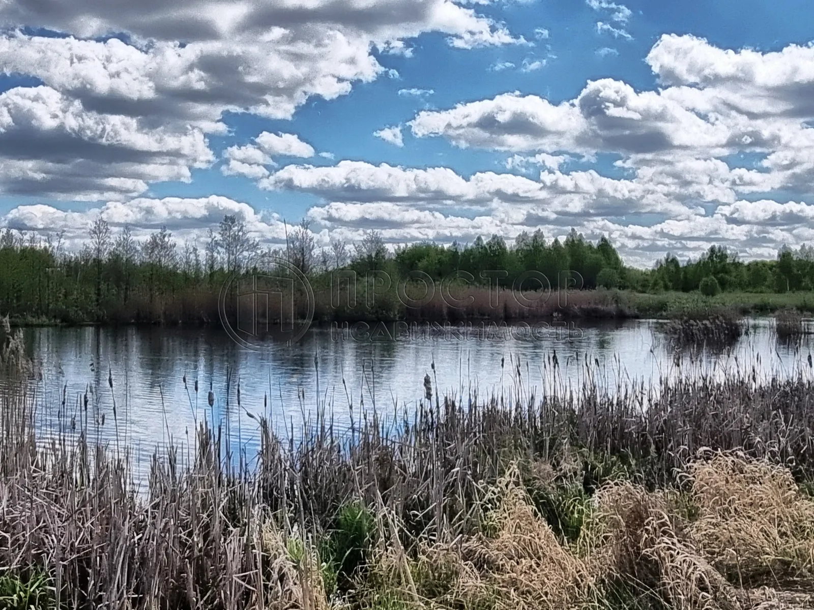 Коммерческая недвижимость (земельный участок),  м² - фото 11