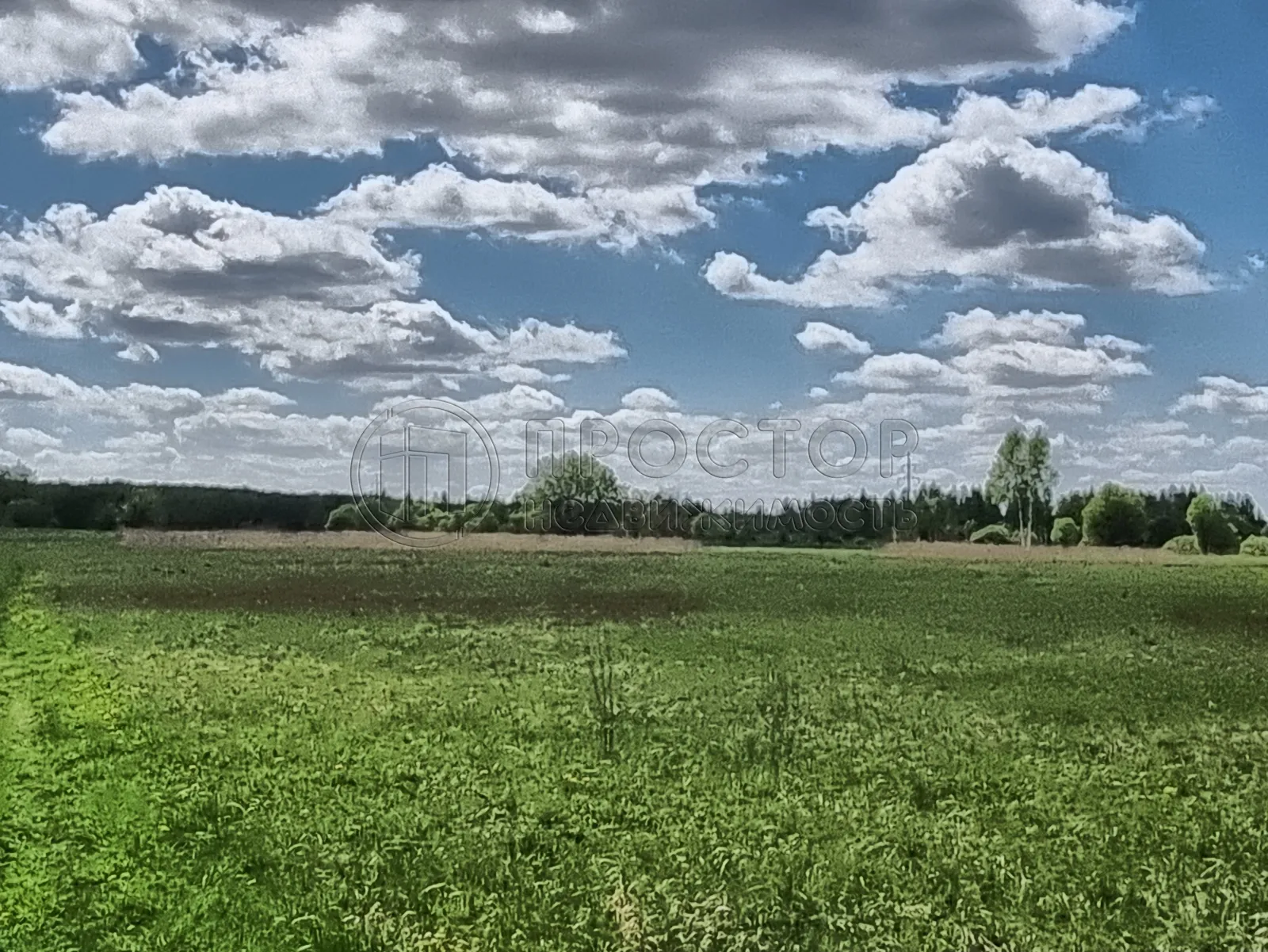 Коммерческая недвижимость (земельный участок),  м² - фото 12