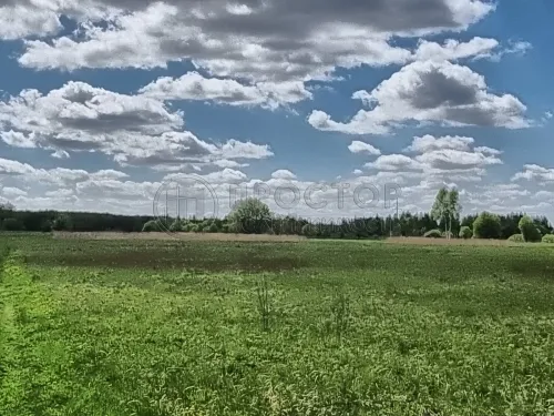 Коммерческая недвижимость (земельный участок),  м² - фото 12