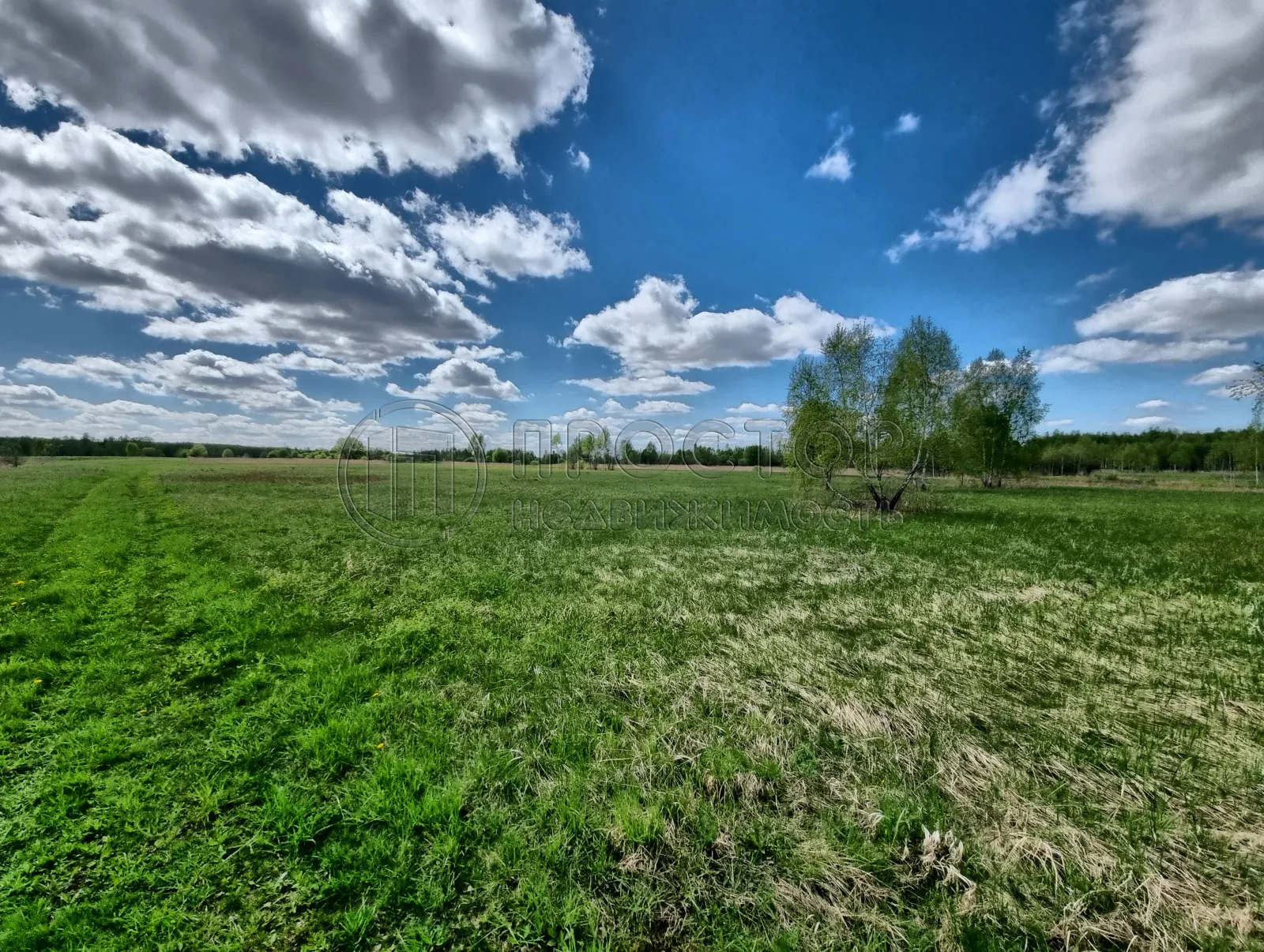 Коммерческая недвижимость (земельный участок),  м² - фото 13