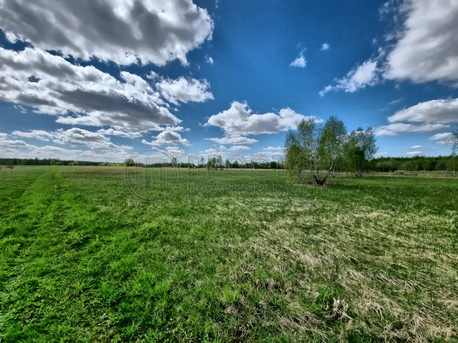 Коммерческая недвижимость (земельный участок),  м² - фото 14