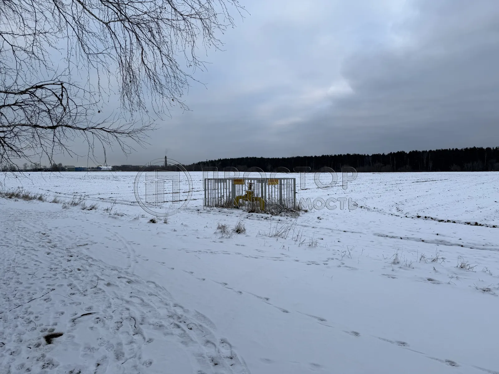 Участок, 100 сот. - фото 2