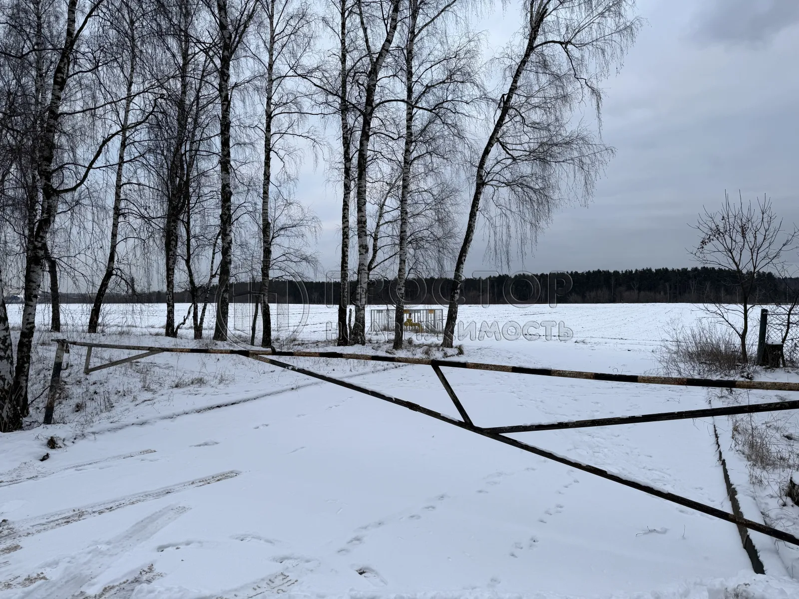 Участок, 100 сот. - фото 3