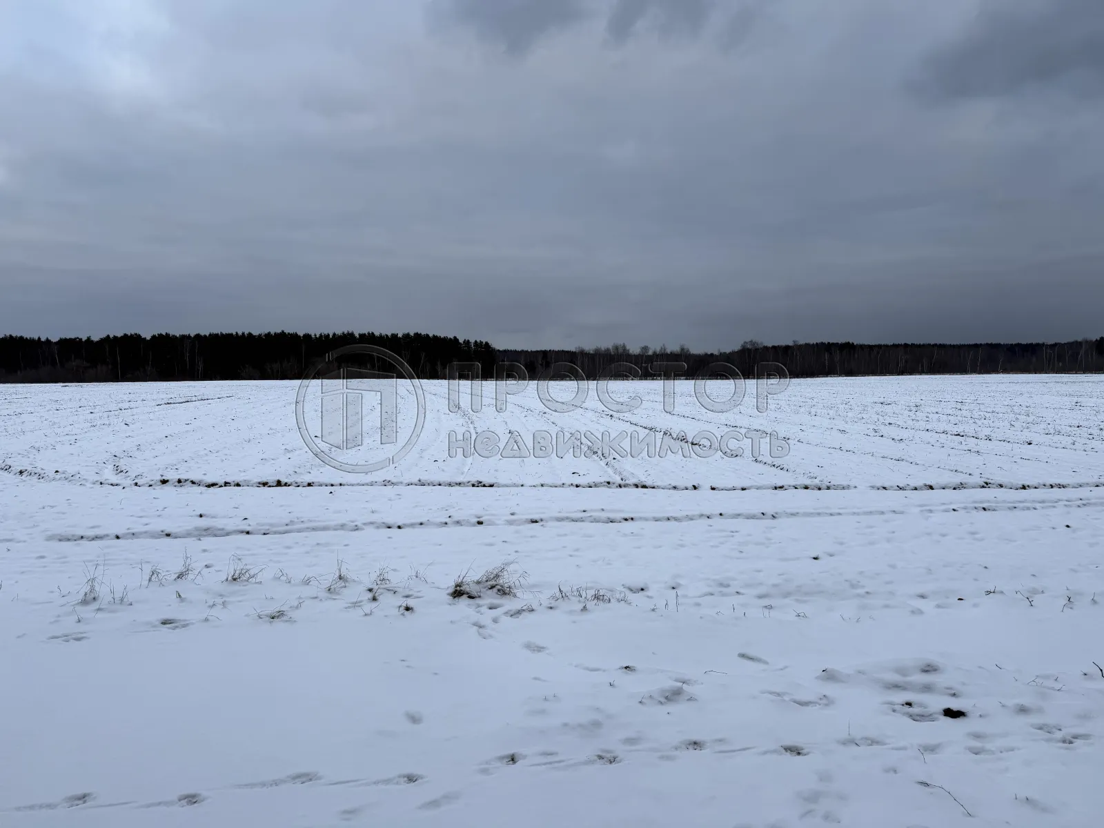 Участок, 100 сот. - фото 4