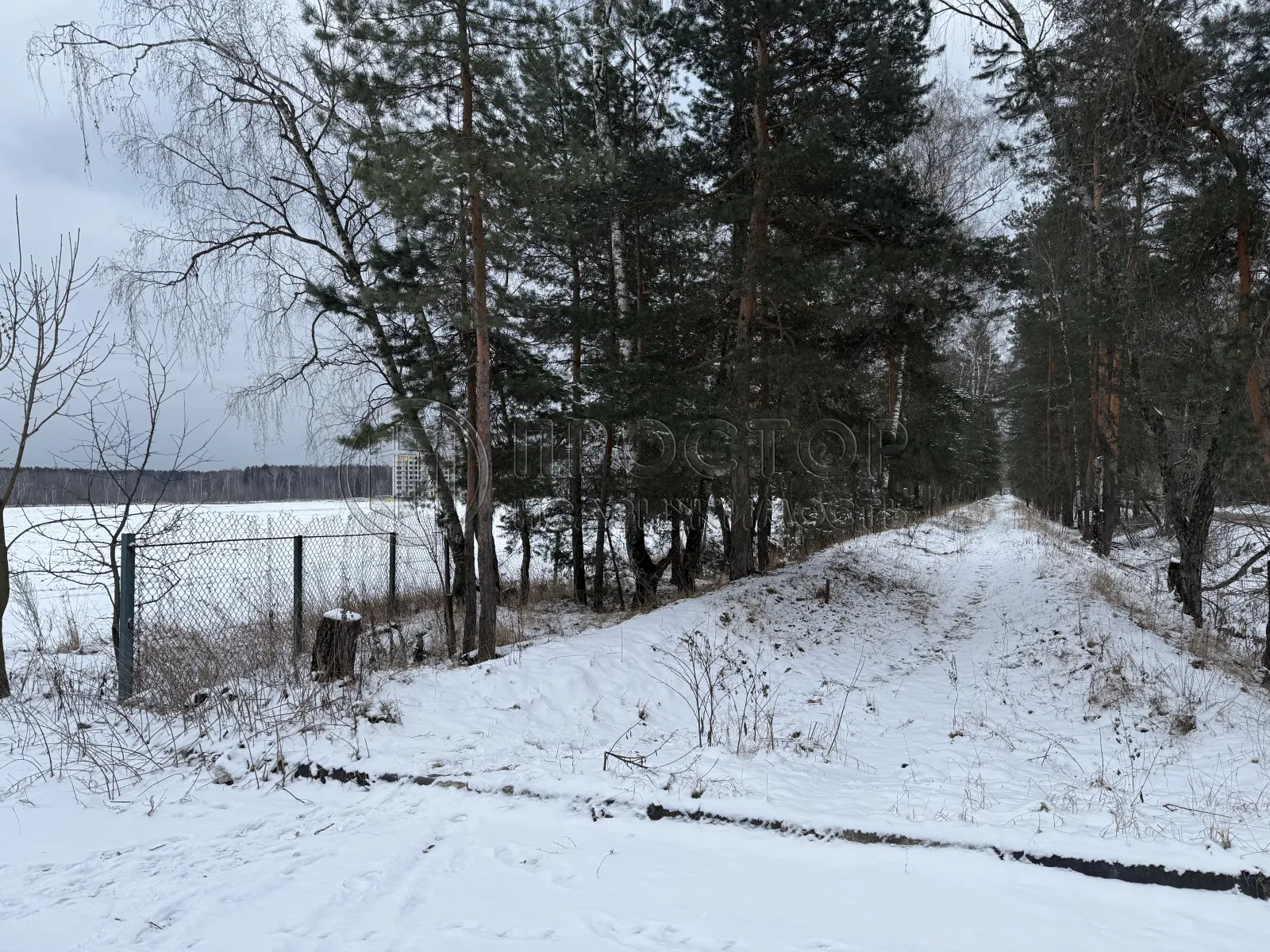 Участок, 100 сот. - фото 5