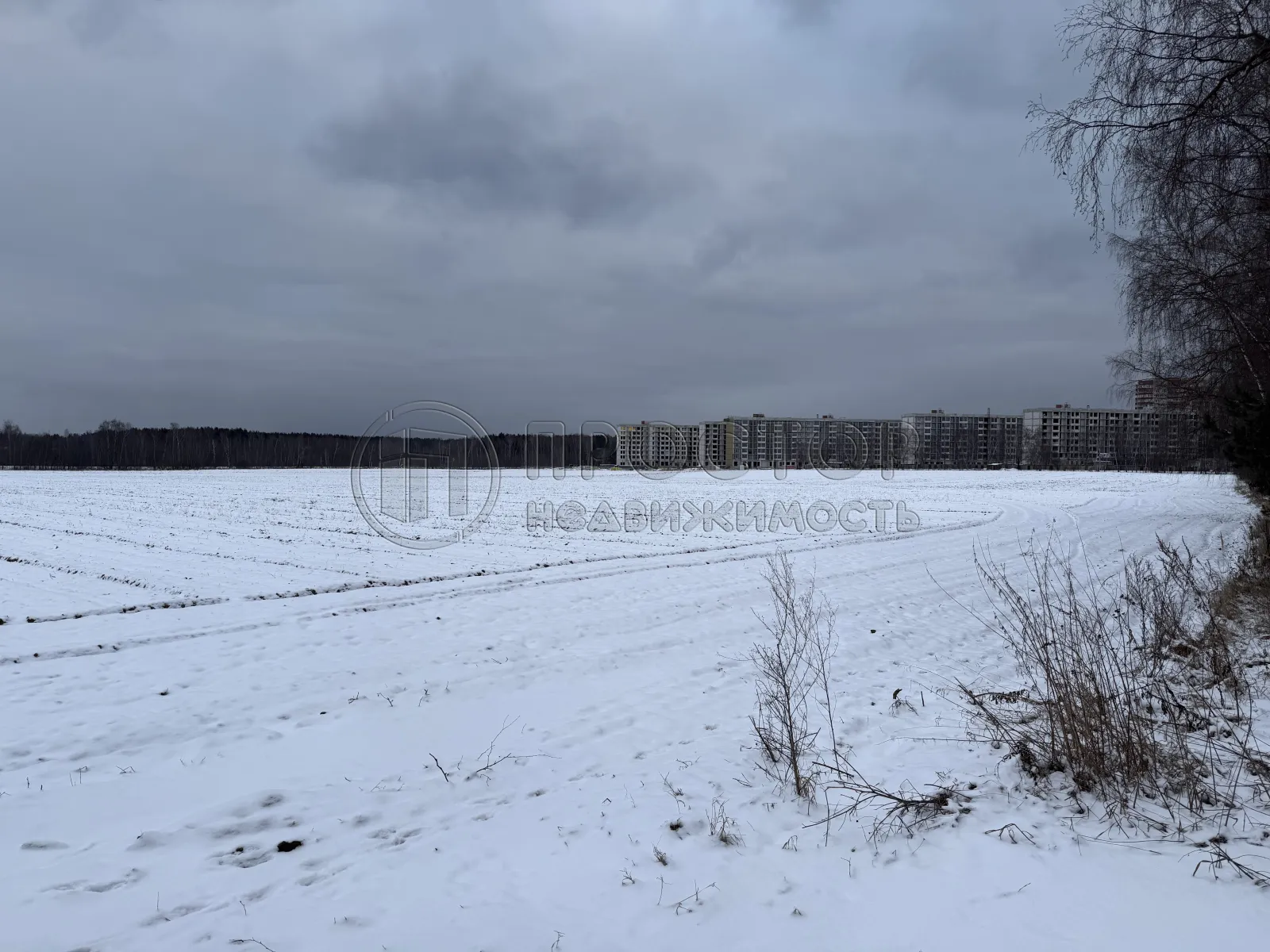 Участок, 100 сот. - фото 6