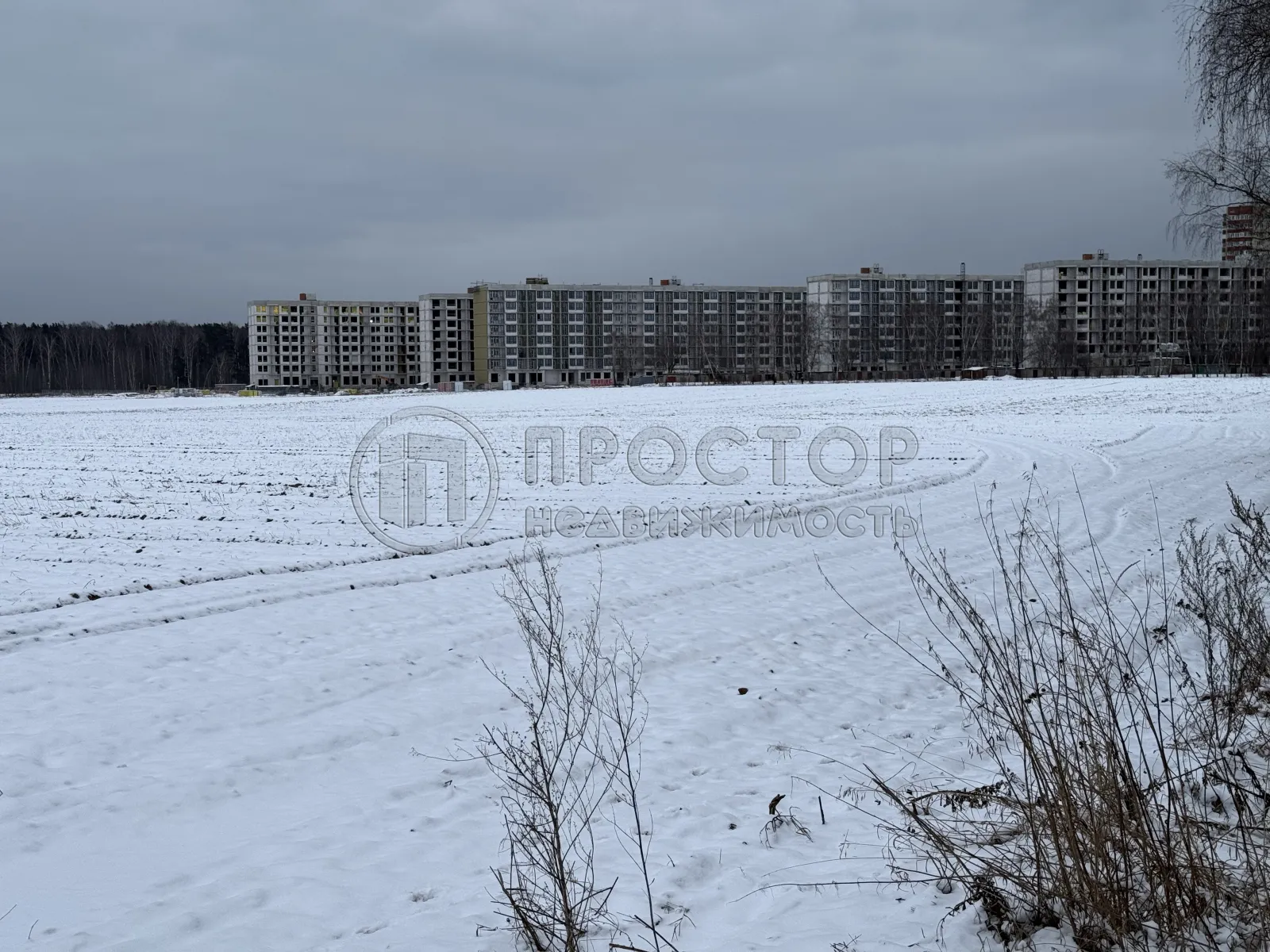 Участок, 100 сот. - фото 7