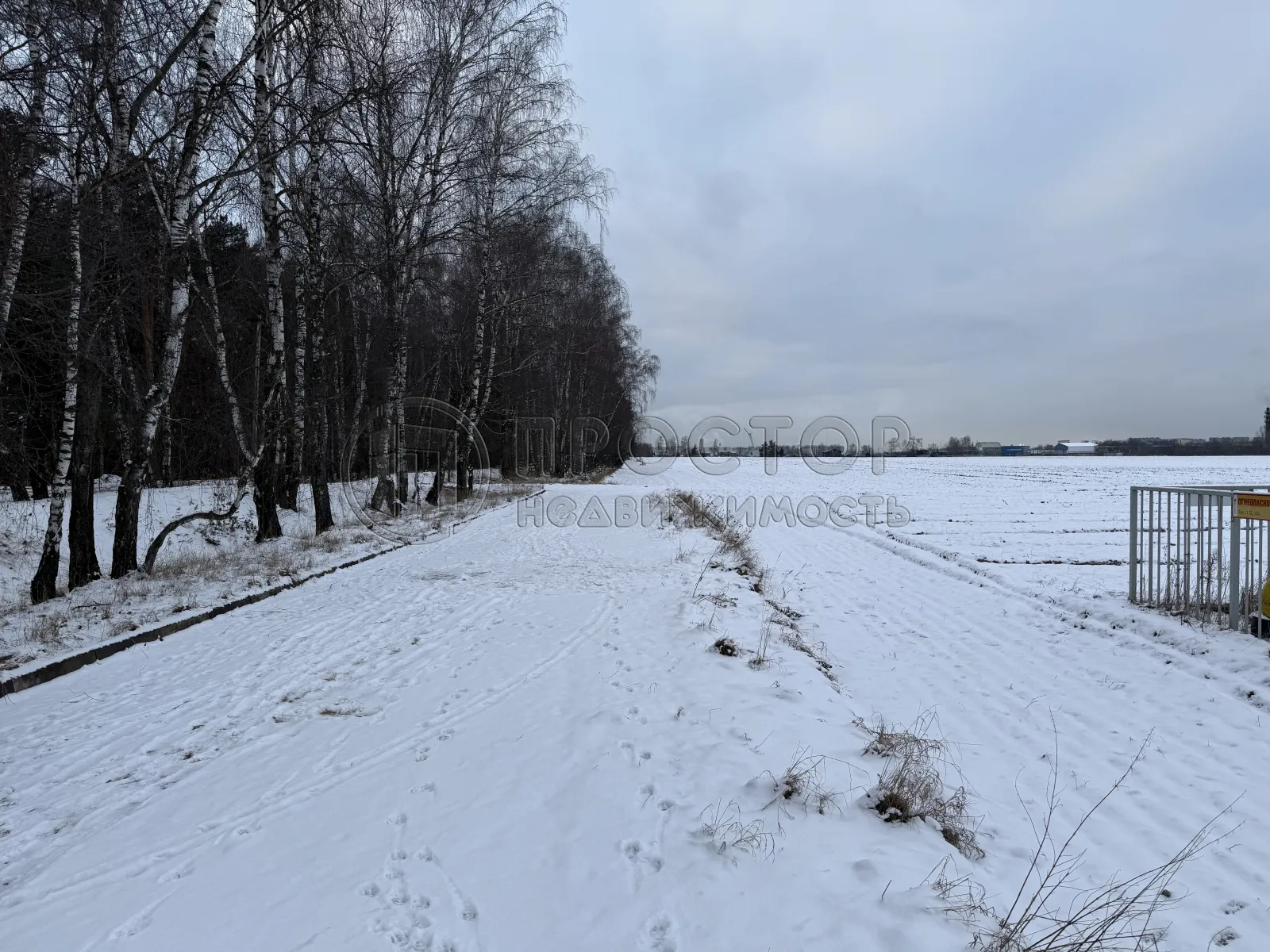 Участок, 100 сот. - фото 10