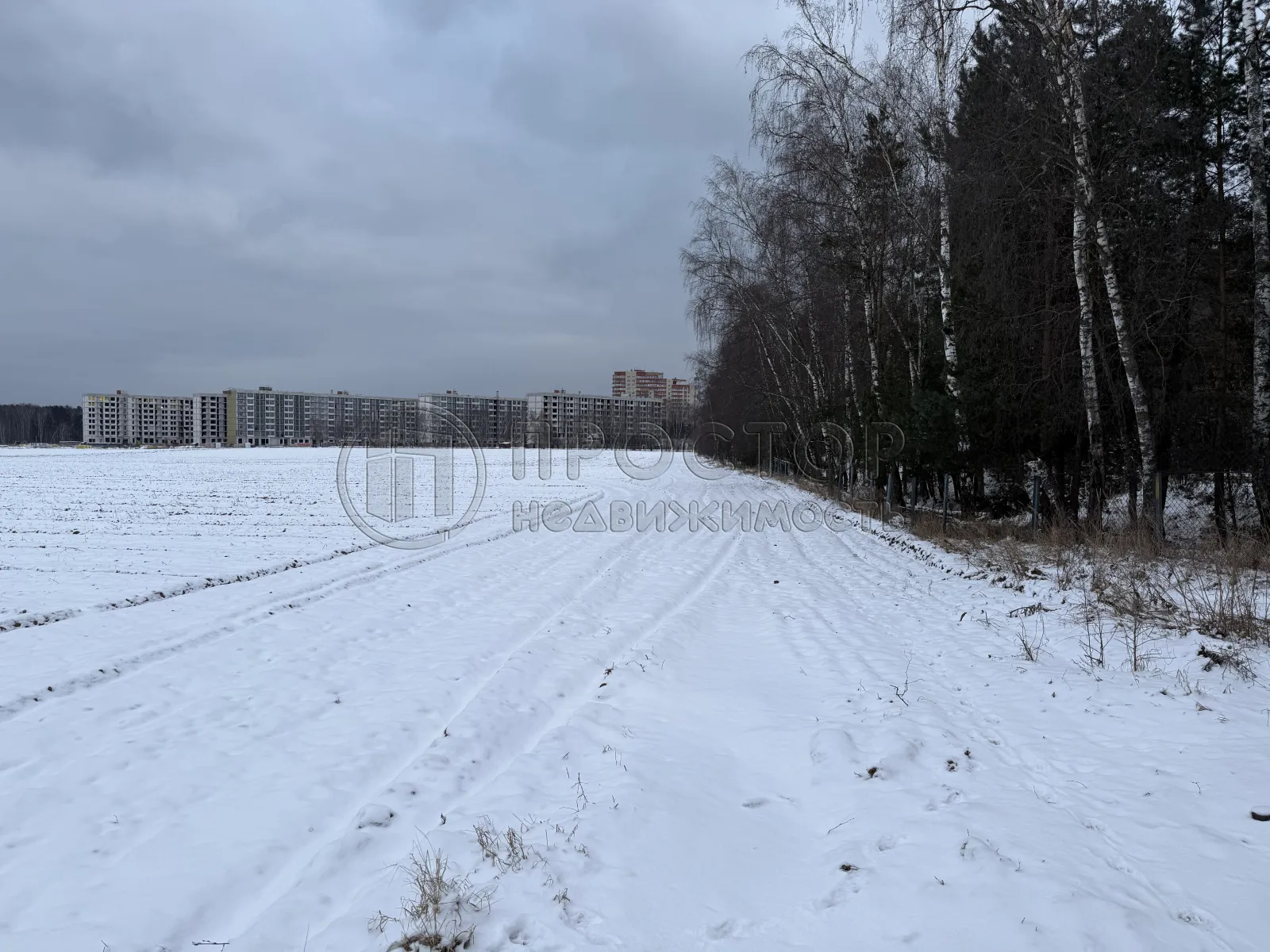 Участок, 100 сот. - фото 11