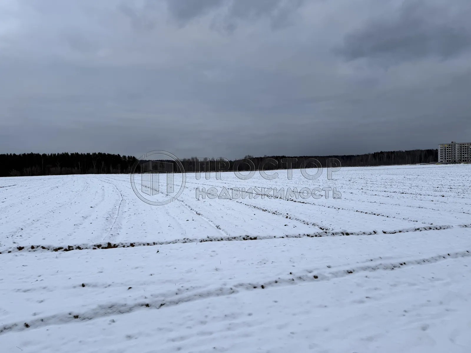 Участок, 100 сот. - фото 12