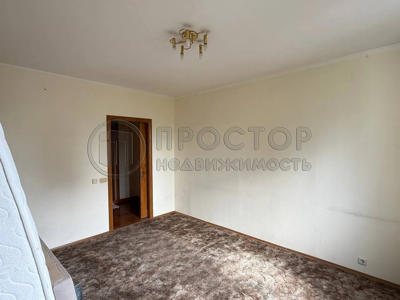 2-комнатная квартира, 55 м² - фото 5