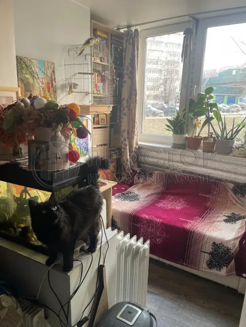 Студия, 22.1 м² - фото 5