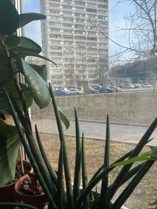 Студия, 22.1 м² - фото 8