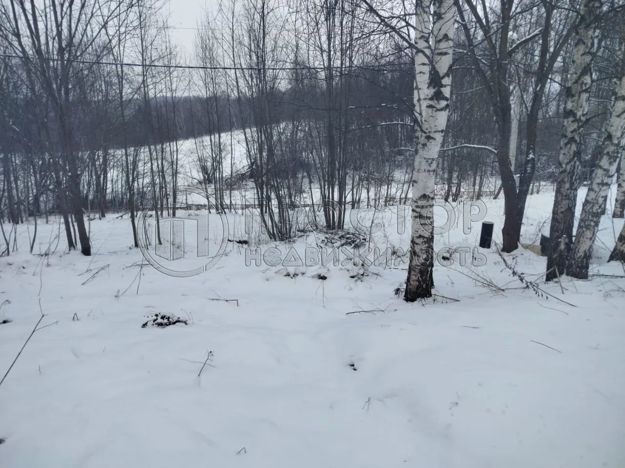 Участок, 10 сот. - фото 22