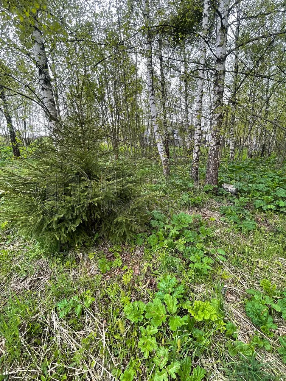 Участок, 10 сот. - фото 12