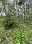 Участок, 10 сот. - фото 44