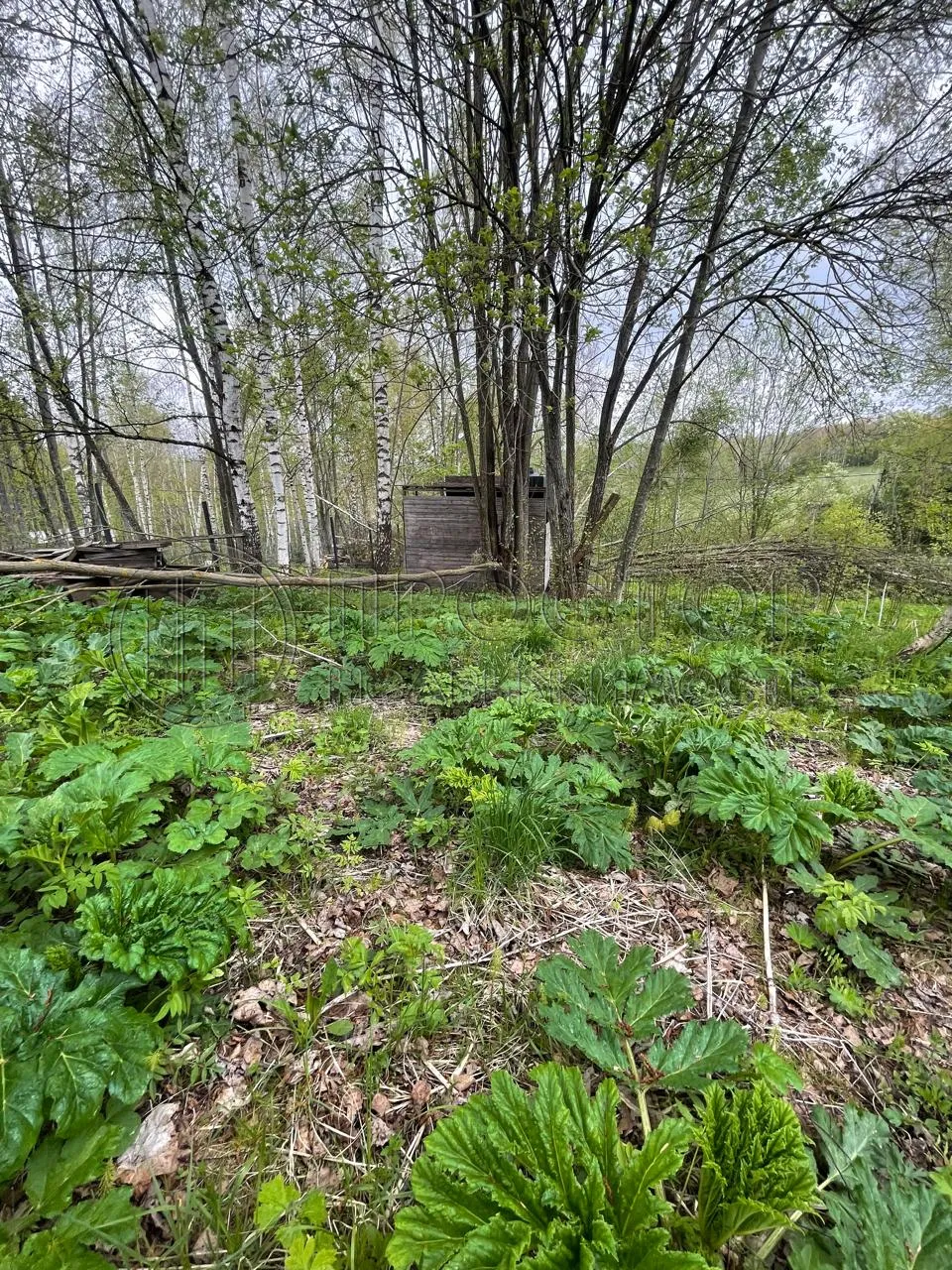Участок, 10 сот. - фото 15
