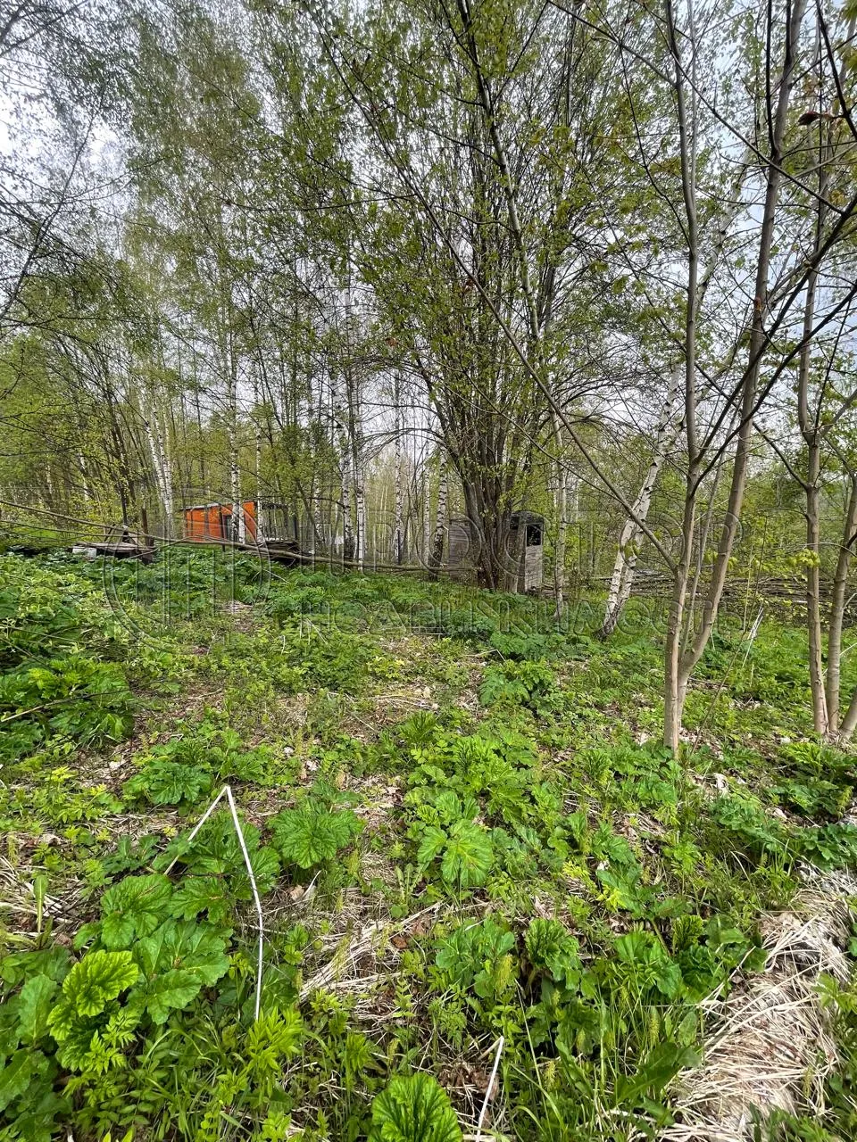 Участок, 10 сот. - фото 17