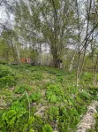 Участок, 10 сот. - фото 49