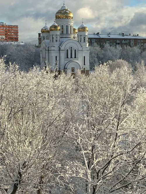 2-комнатная квартира, 44.3 м² - фото 13