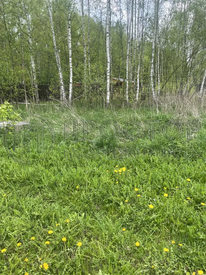 Участок, 13 сот. - фото 3