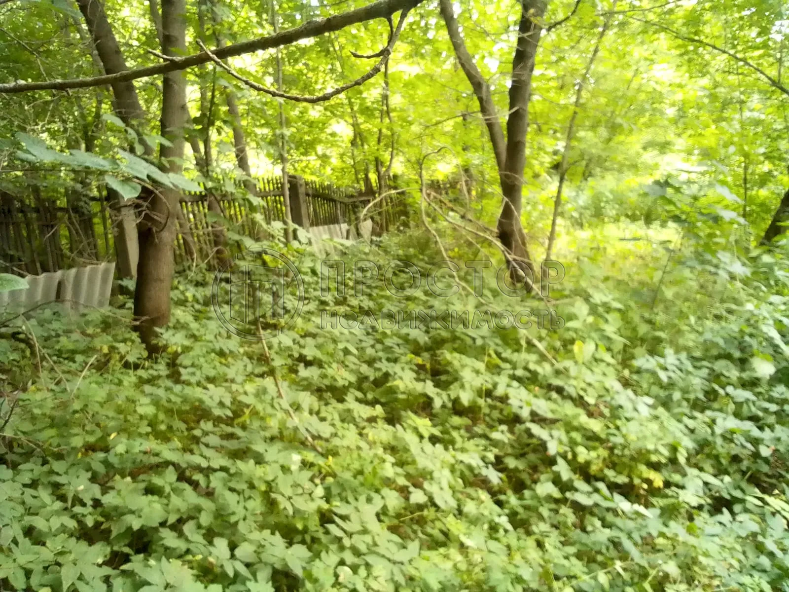 Участок, 6.1 сот. - фото 2