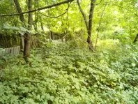 Участок, 6.1 сот. - фото 5