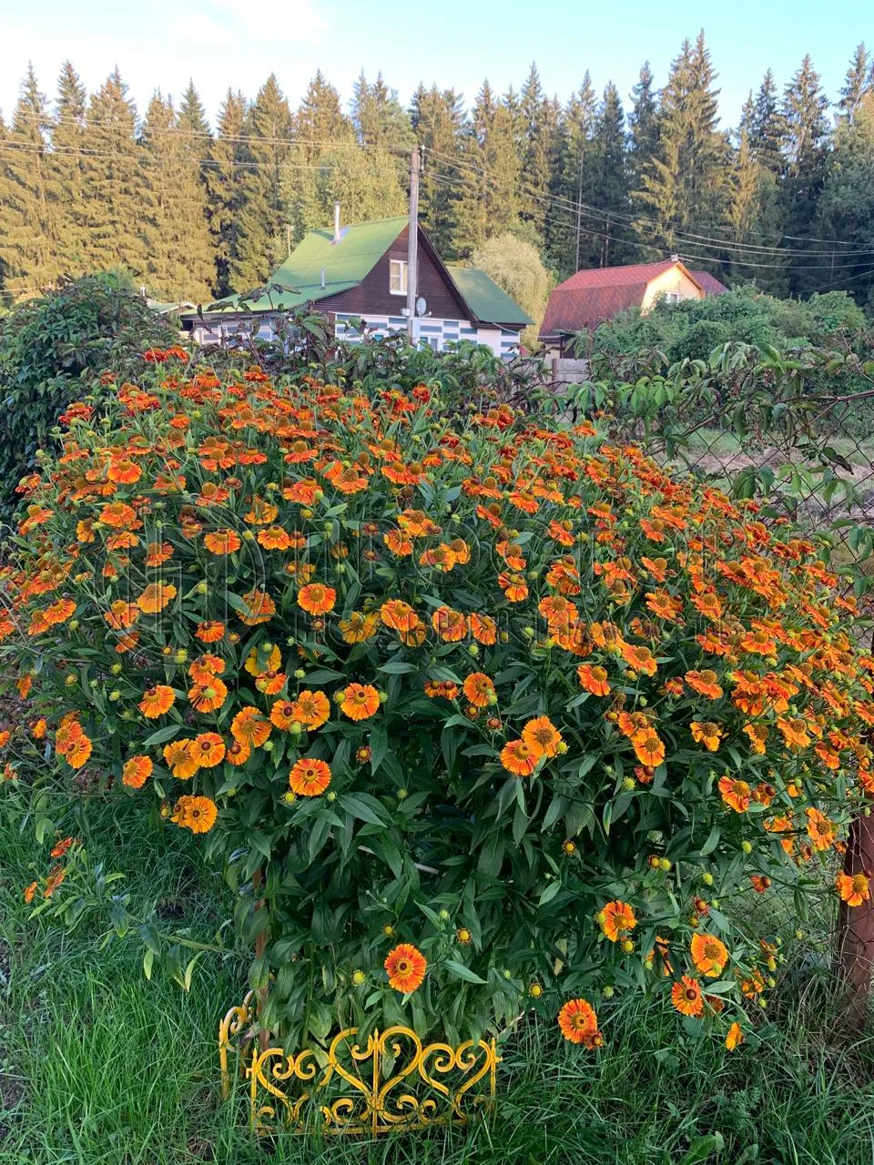 Дом, 85 м² - фото 28