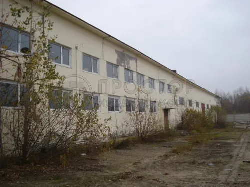 Коммерческая недвижимость, 2000 м² - фото 2