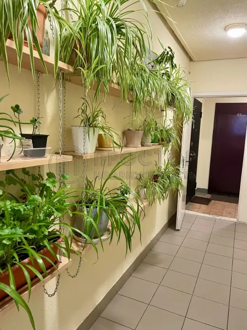 3-комнатная квартира, 76.8 м² - фото 28