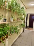 3-комнатная квартира, 76.8 м² - фото 59