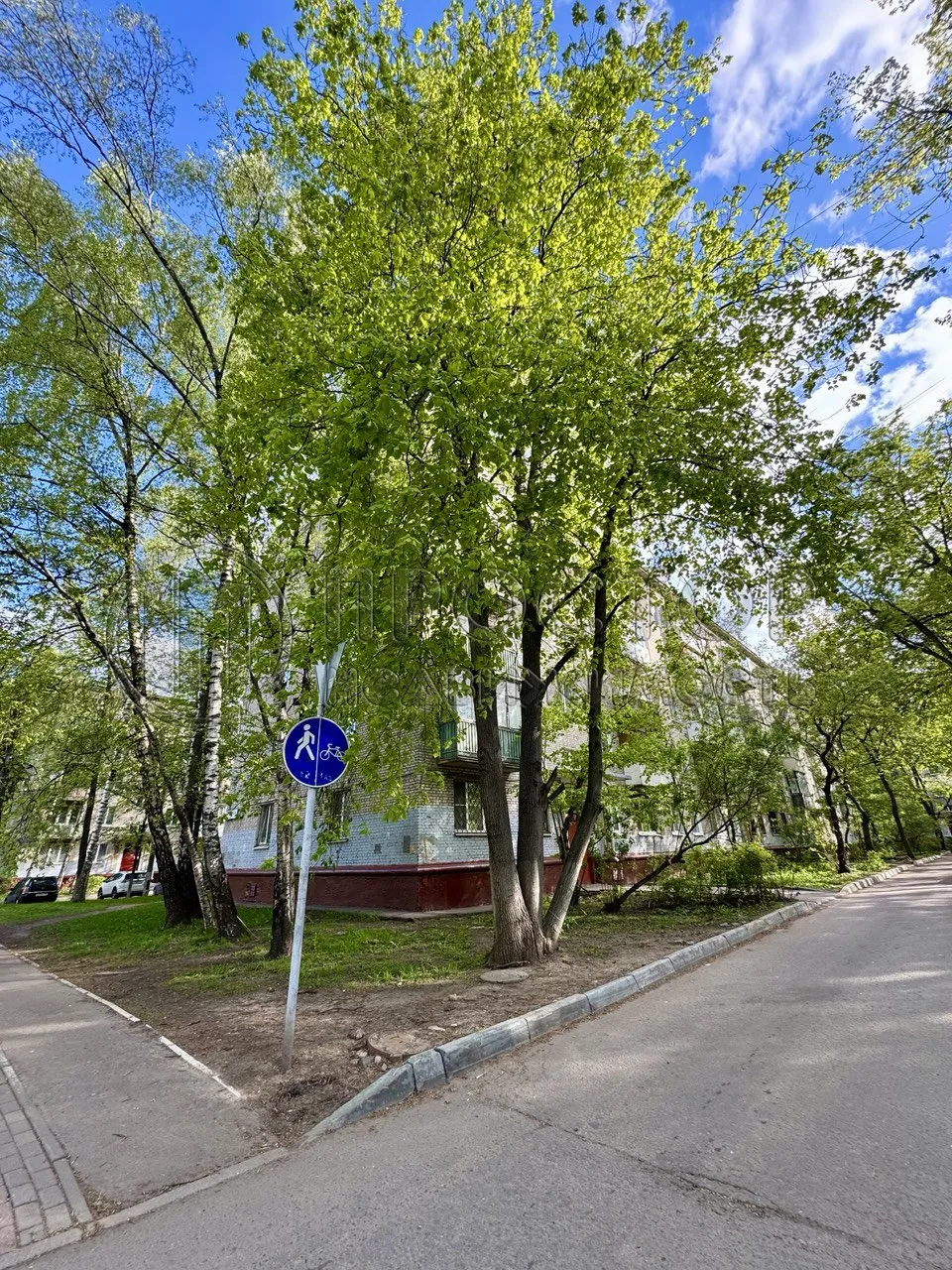 1-комнатная квартира, 31 м² - фото 3