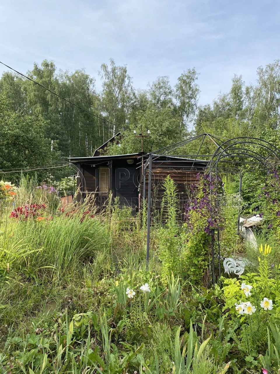 Участок, 6 сот. - фото 8