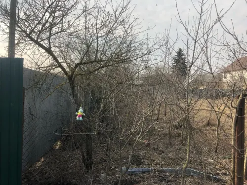 Участок, 7.6 сот. - фото 21