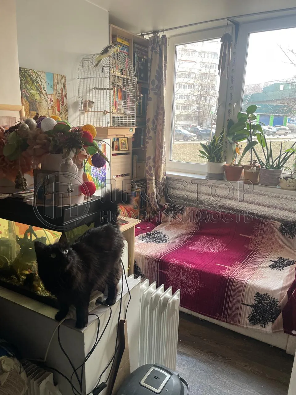 Комната, 18 м² - фото 2