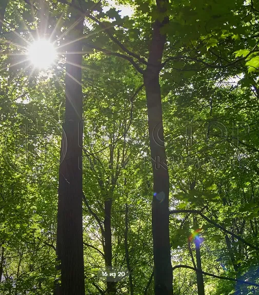 1-комнатная квартира, 41.5 м² - фото 13