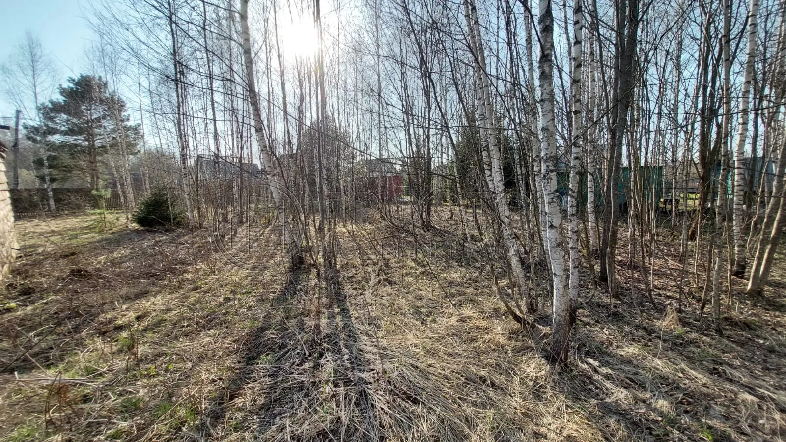 Участок, 8 сот. - фото 5