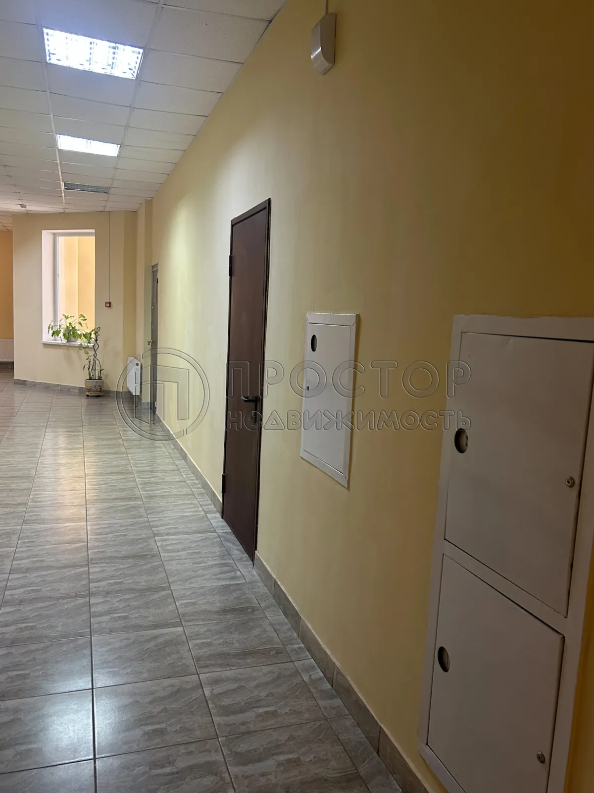 4-комнатная квартира, 191.2 м² - фото 4