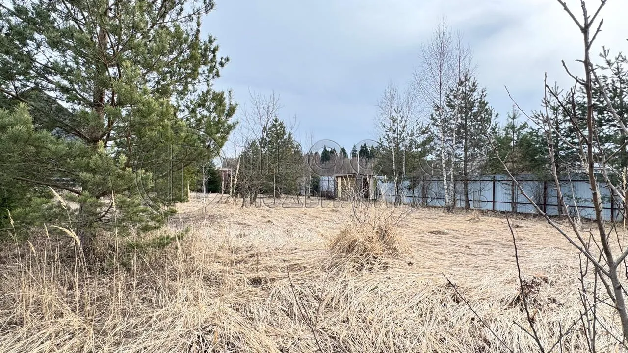 Участок, 7.84 сот. - фото 4